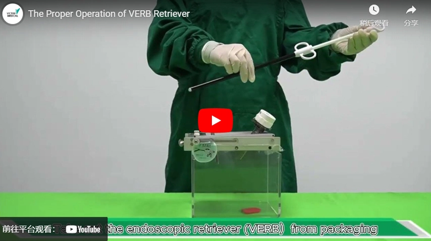 Le bon fonctionnement de VERB Retriever