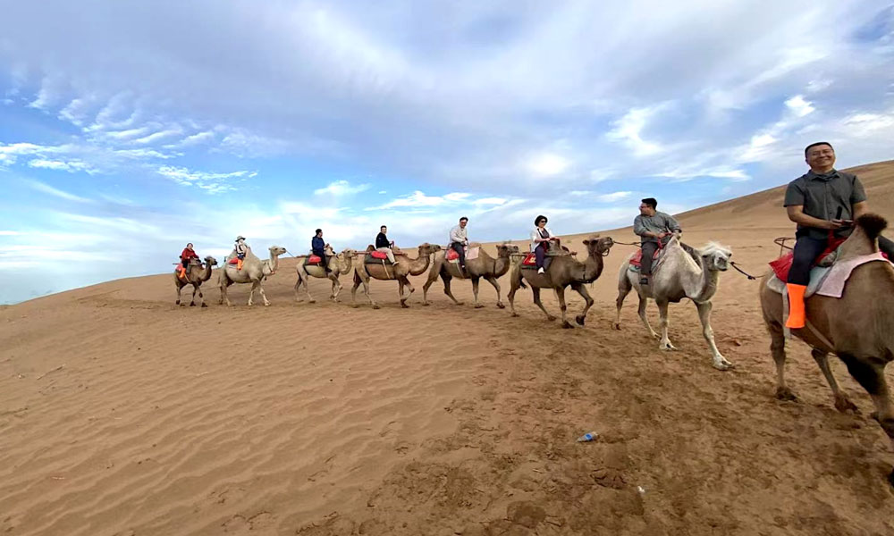 2025-mid-year-gathering-victor-medical-unites-in-ningxia-to-forge-ahead-together02.jpg 2025-mid-year-gathering-victor-medical-unites-in-ningxia-to-forge-ahead-together02.jpg